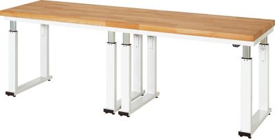 Werkbank | elektrisch höhenverstellbar | HxBxT 740-1140 x 750 x 700 mm | Flächenlast 600 kg | Buche-Massiv Arbeitsplatte | Plattenstärke 40 mm | Rau