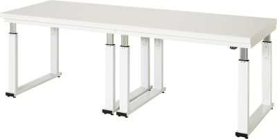 Werkbank | elektrisch höhenverstellbar | HxBxT 740-1140 x 750 x 700 mm | Flächenlast 600 kg | Buche-Massiv Arbeitsplatte | Plattenstärke 40 mm | Rau