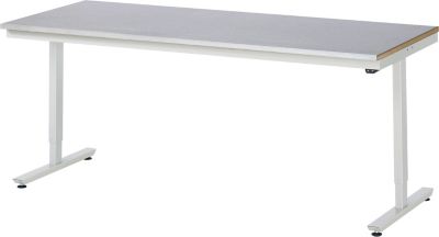 Arbeitstisch | elektrisch höhenverstellbar | HxBxT 720-1120 x 750 x 800 mm | Flächenlast 150 kg | MDF Arbeitsplatte | Plattenstärke 22 mm | Rau