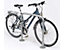 WSM TRUST Fahrradparker - Anlehnbügel verzinkt, mit Ringöse zum Einbetonieren - Länge 750 mm