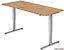 Schreibtisch | Elektrisch höhenverstellbar | Modell XMKA | BxTxH 120 x 80 x 70-120 cm | Silber-Ahorn | Hammerbacher