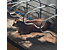 Stallmatte GW4005 für Tierhaltung | BxL 200 x 100 cm | Schwarz | Certeo