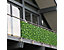 Brise-vue de balcon en PVC | 90 x 600 cm | Buis | Certeo