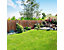Clôture de saule | Canisse de jardin | Brise-vue couleur nature | HxL 90 x 300 cm | Certeo