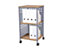 Mobiler Multifunktionstrolley | Officebutler | BxHxT 45 x 86 x 45 cm | Buche, Alu-Grau | Certeo