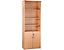 Armoire haute de bureau en bois | LxPxH 800 x 400 x 2200 mm | 5 étagères |Avec placard  | Hêtre | Karbon | Certeo